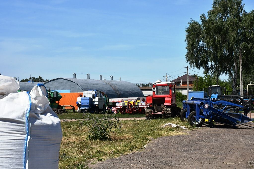 Представители Министерства сельского хозяйства и продовольствия РТ посетили хозяйства Лаишевского района