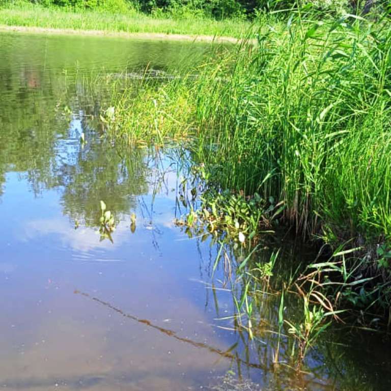 Красивыми видами Лаишева поделилась Светлана Шарипова