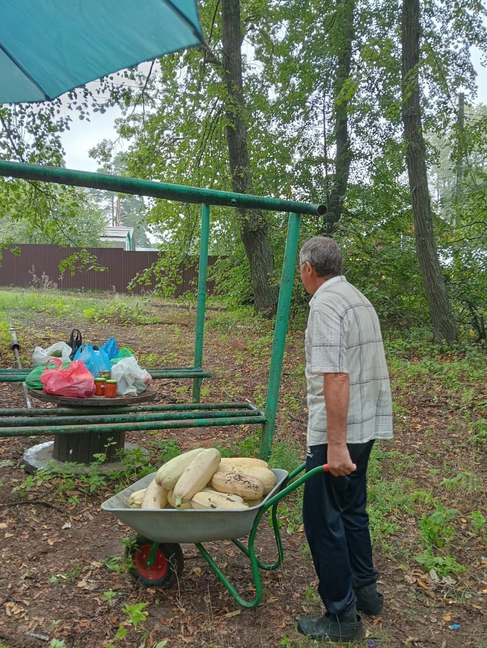 Даже 90-летние серебряные волонтеры помогают нашим бойцам СВО