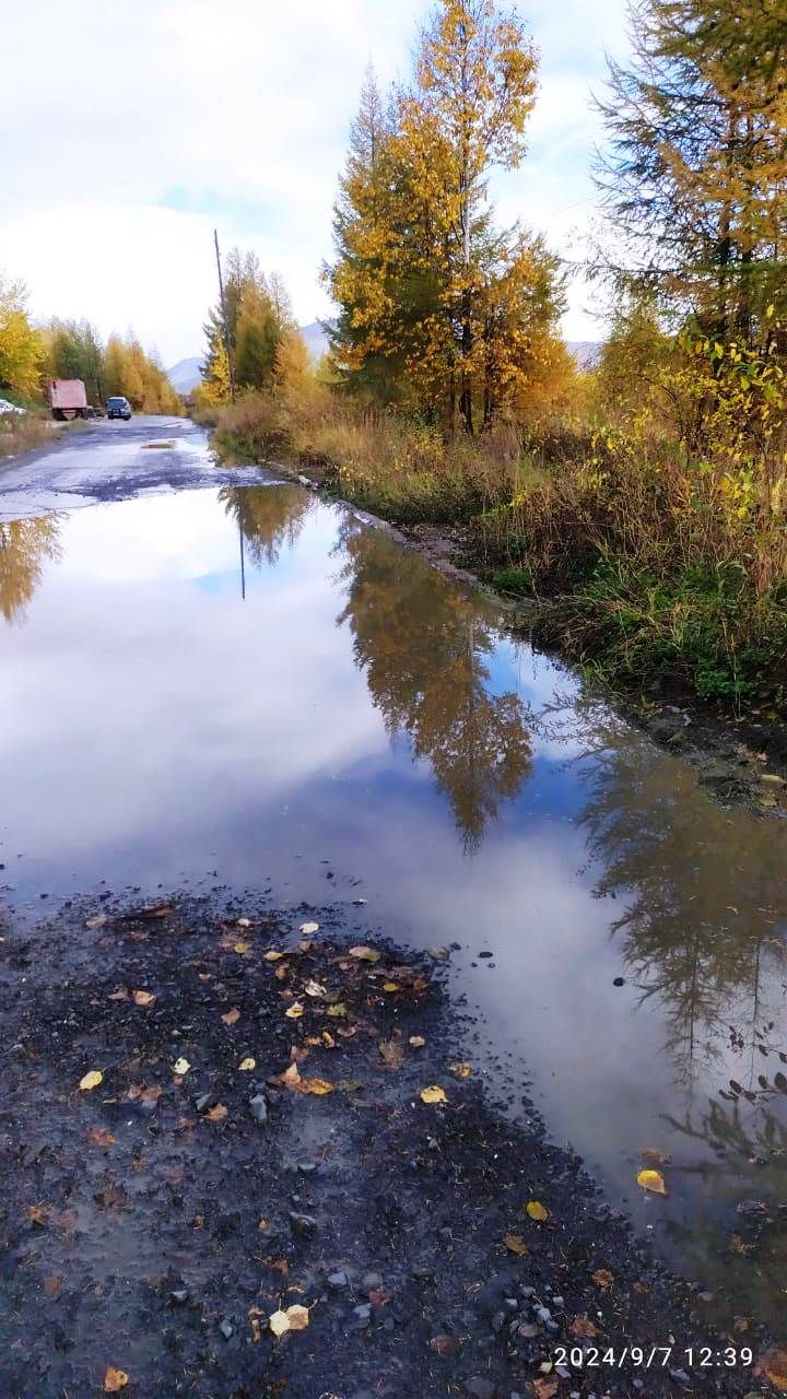 Галина Ворожейкина из Синегорья показывает красоту Севера