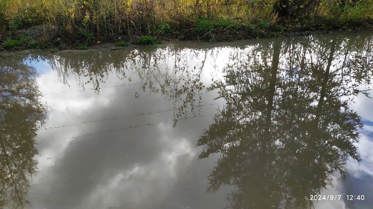 Галина Ворожейкина из Синегорья показывает красоту Севера