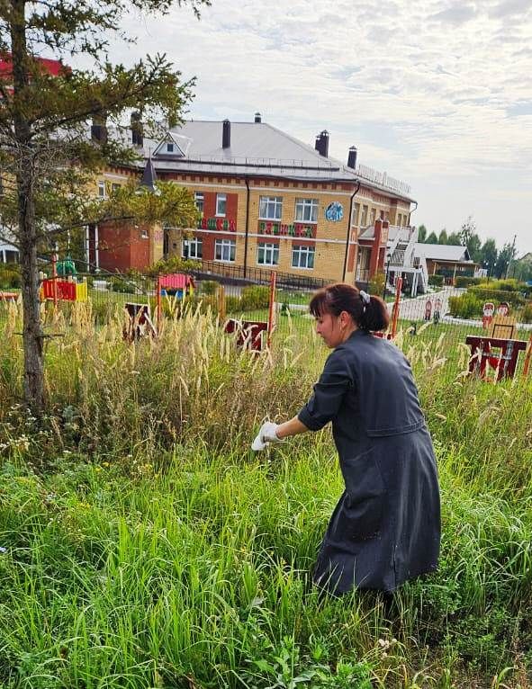 В Лаишеве продолжаются субботники