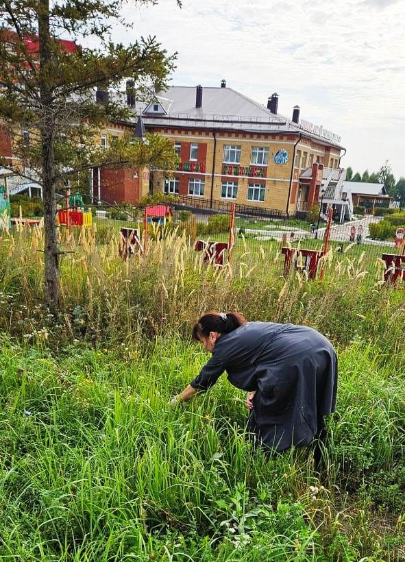 В Лаишеве продолжаются субботники