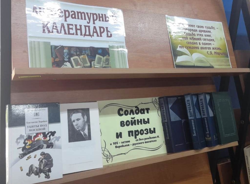 В Лаишевской библиотеке подготовлена книжная выставка «Солдат войны и прозы»