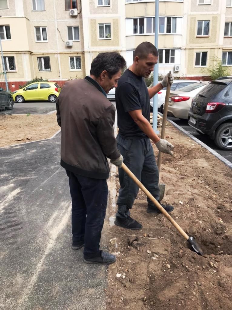 На посадку деревьев выходят жители Татарстана