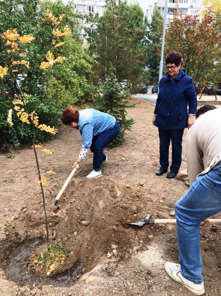 На посадку деревьев выходят жители Татарстана