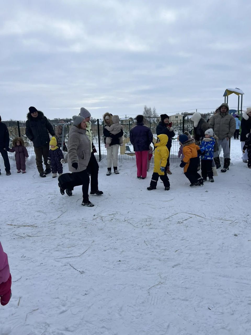 Новогодние чудеса в Никольских Лугах