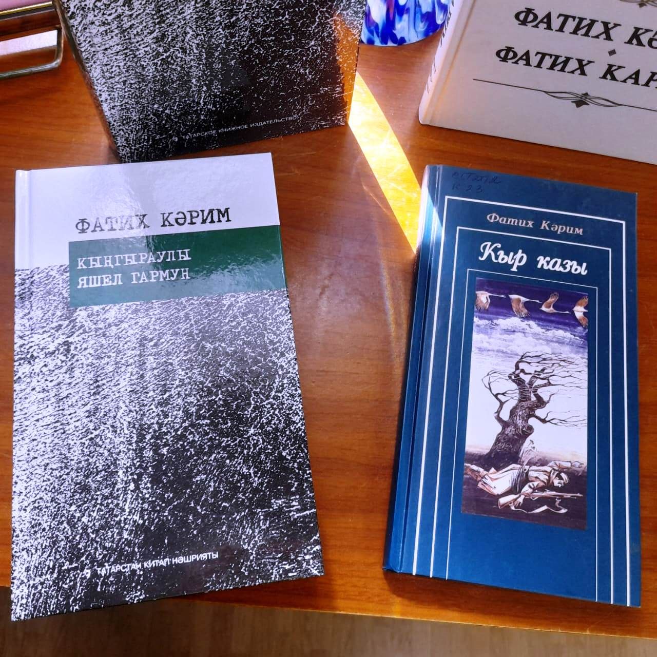 В Лаишевской библиотеке организована новая книжная выставка