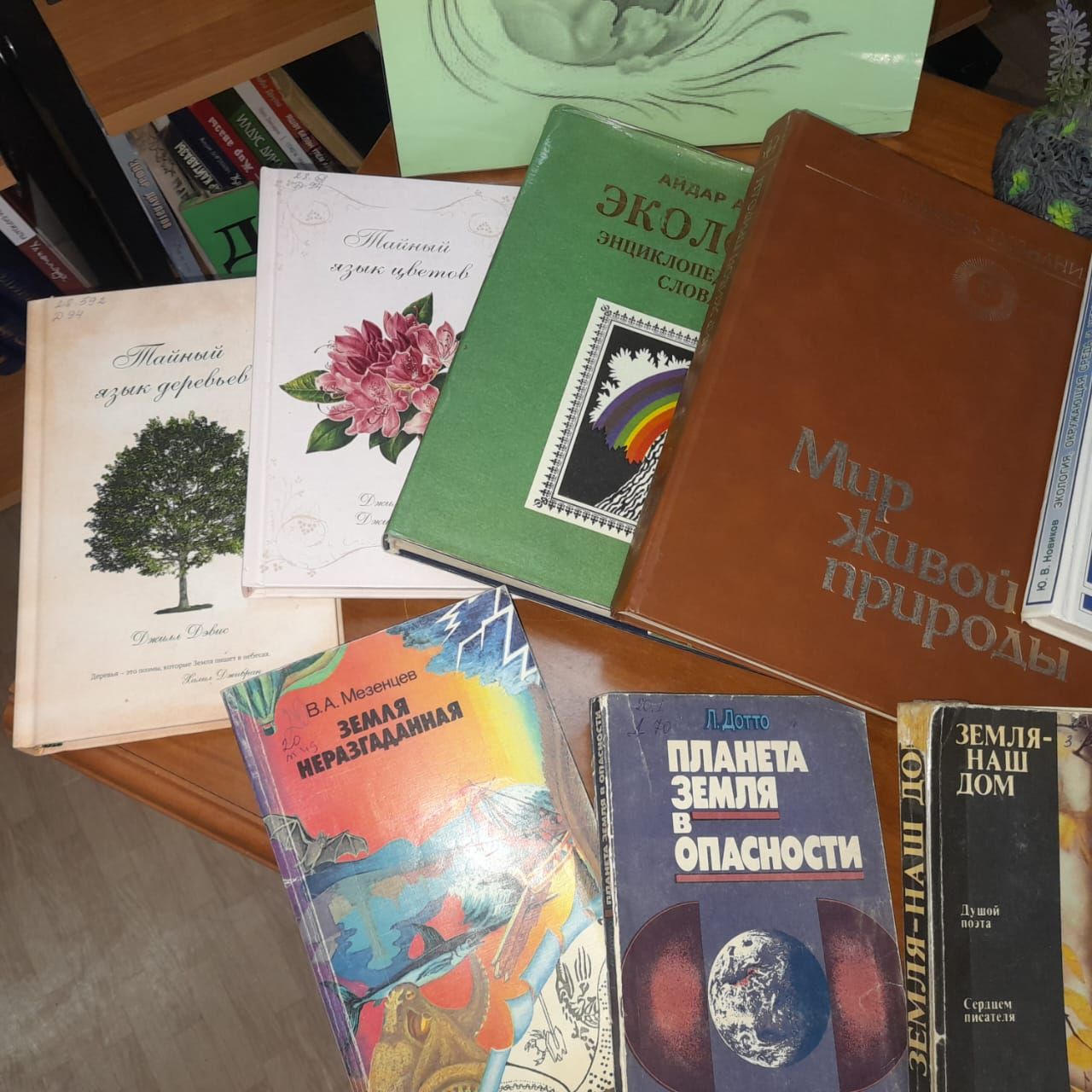 Ко Всемирному дню Земли в Лаишевском районе подготовлена эко-викторина «Живая планета Земля»