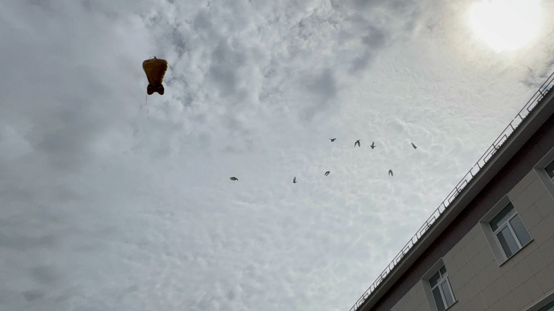 Последний звонок в Лаишевской гимназии №1