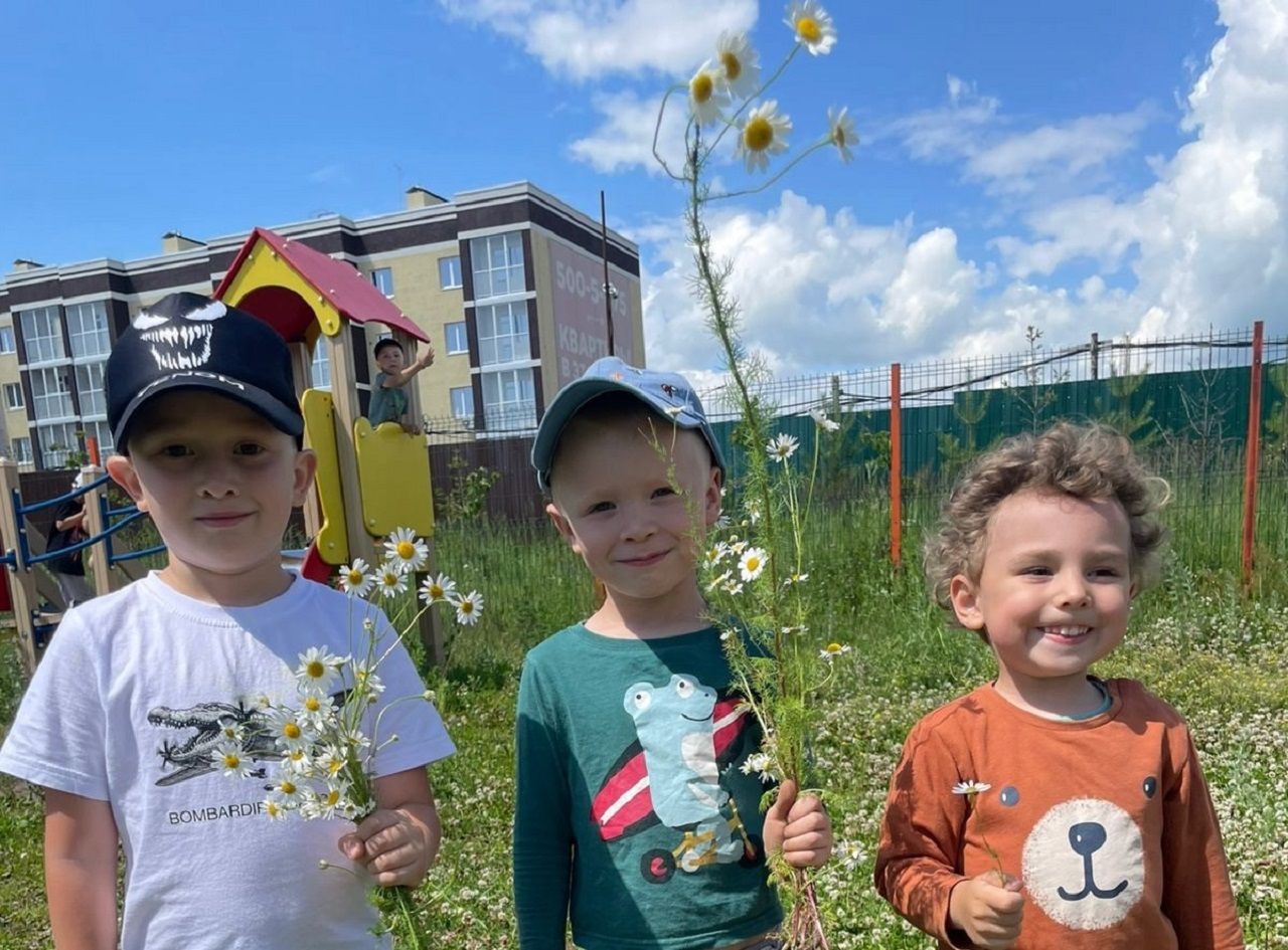 В Лаишевском районе отпраздновали День ромашки