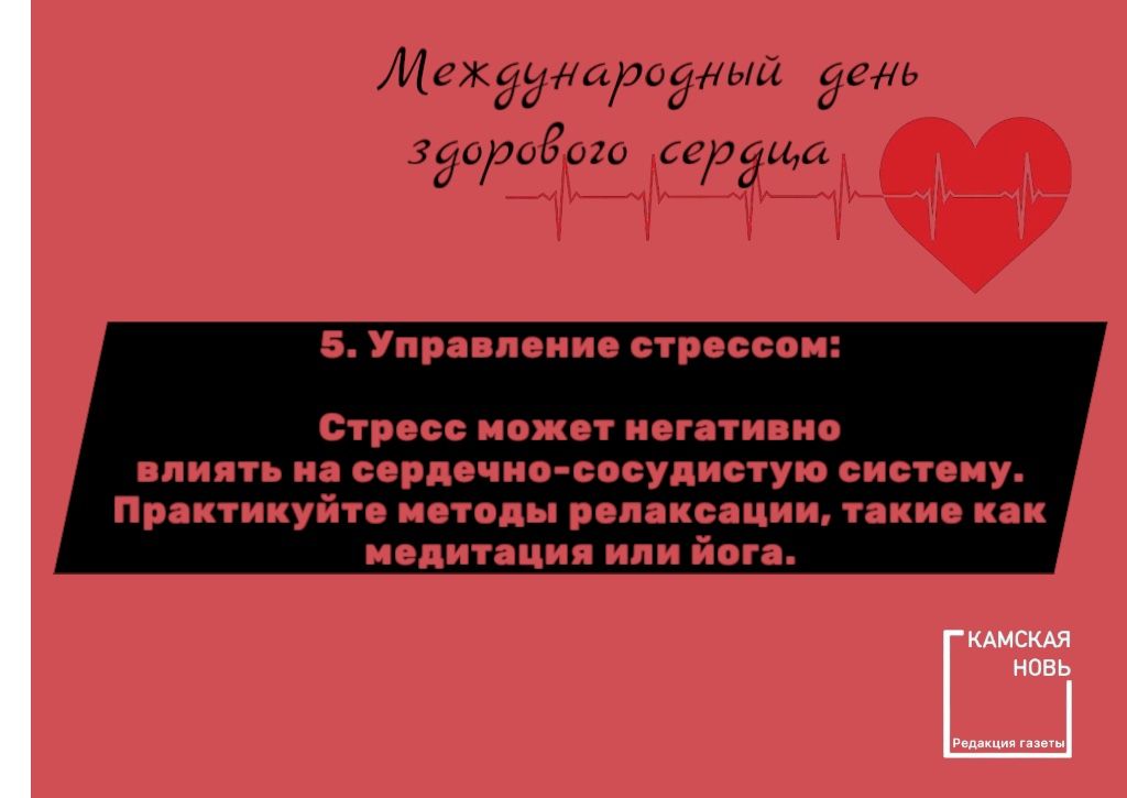 Международный день здорового сердца: важность профилактики сердечно-сосудистых заболеваний