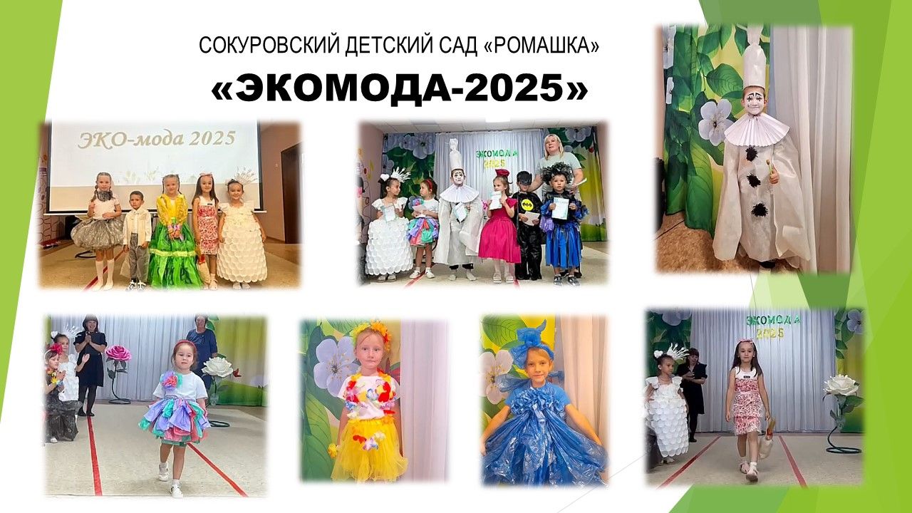 В детском саду «Ромашка» Лаишевского района провели конкурс экомоды