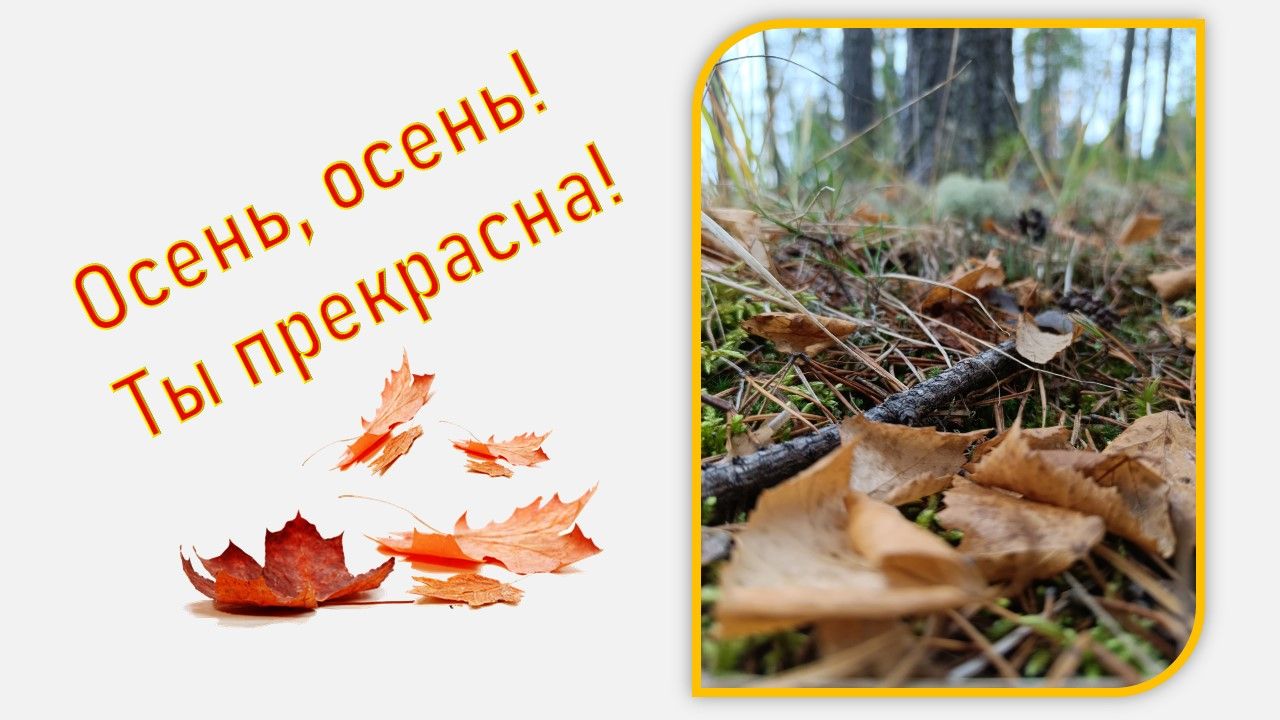 Очей очарованье — бабье лето