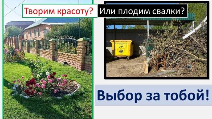 Киселгән агач ботакларын нишләтергә?