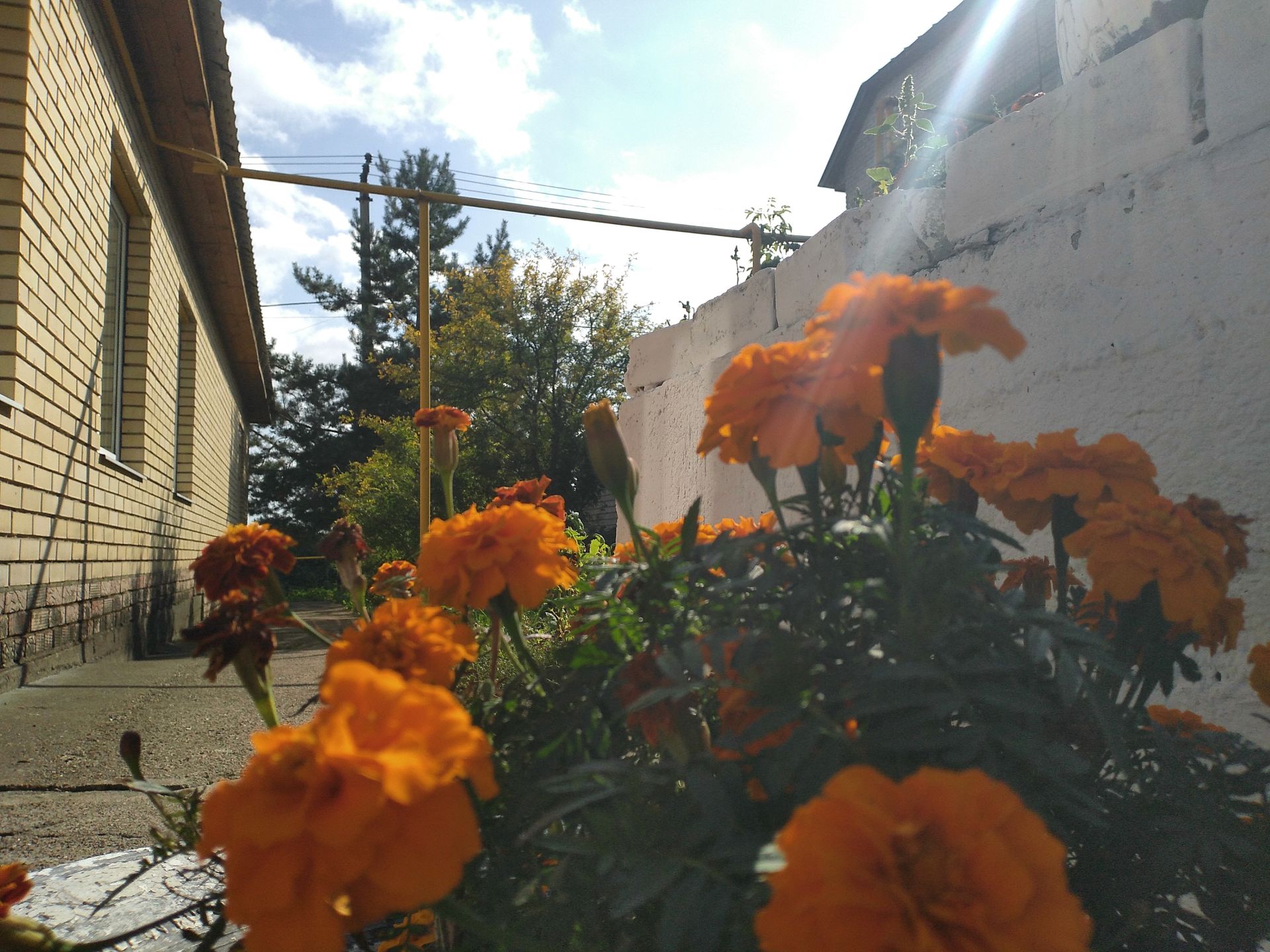 Прогноз погоды на 8 сентября 2025 года