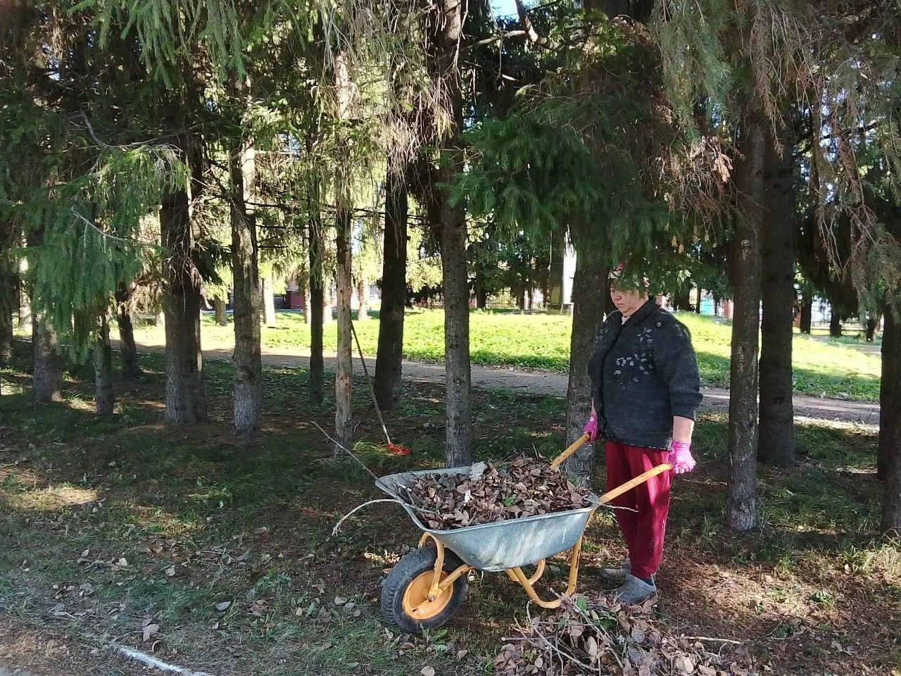 Урта Девятово урамнарында көзге шимбә өмәсе узды