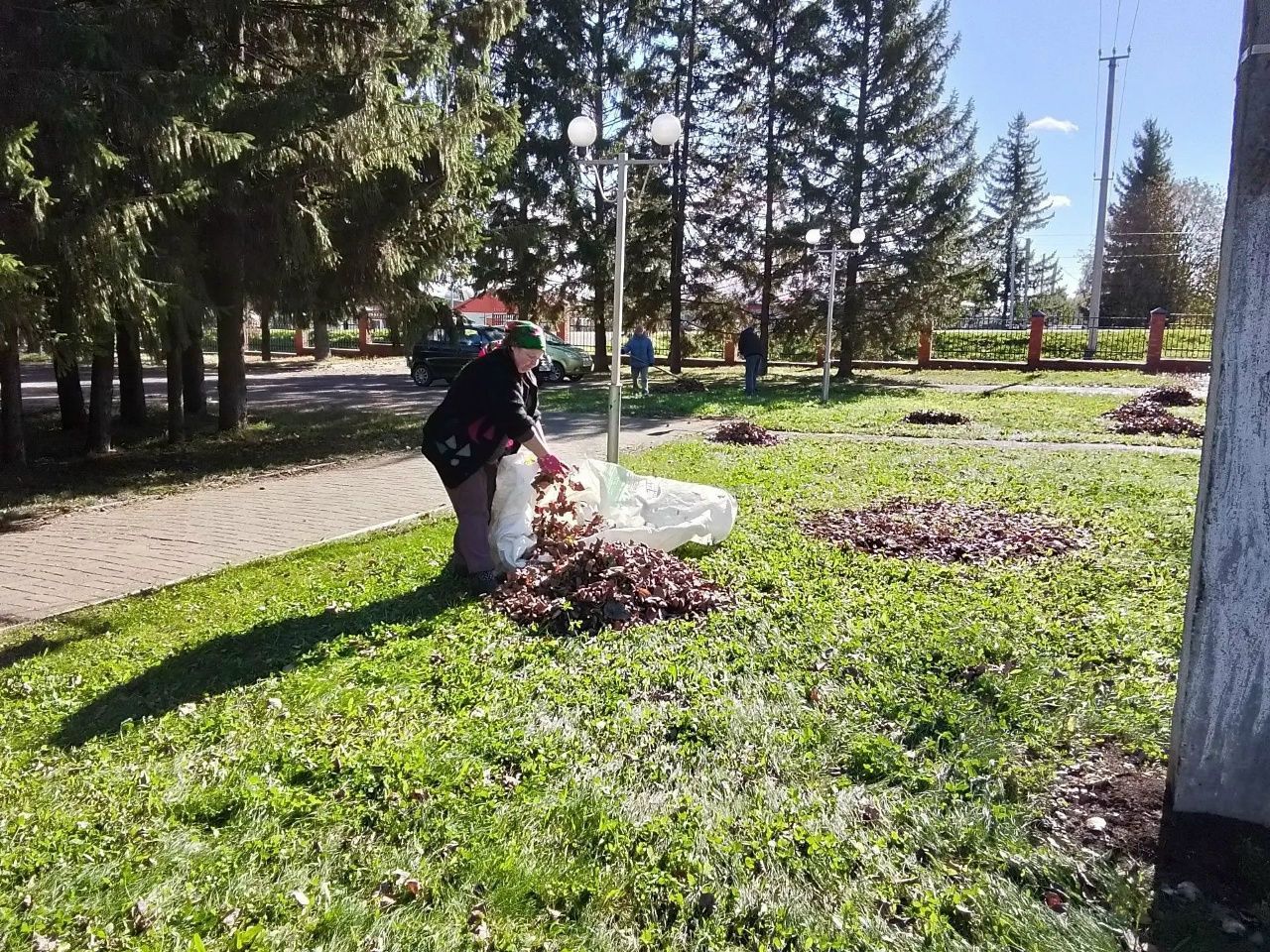Урта Девятово урамнарында көзге шимбә өмәсе узды
