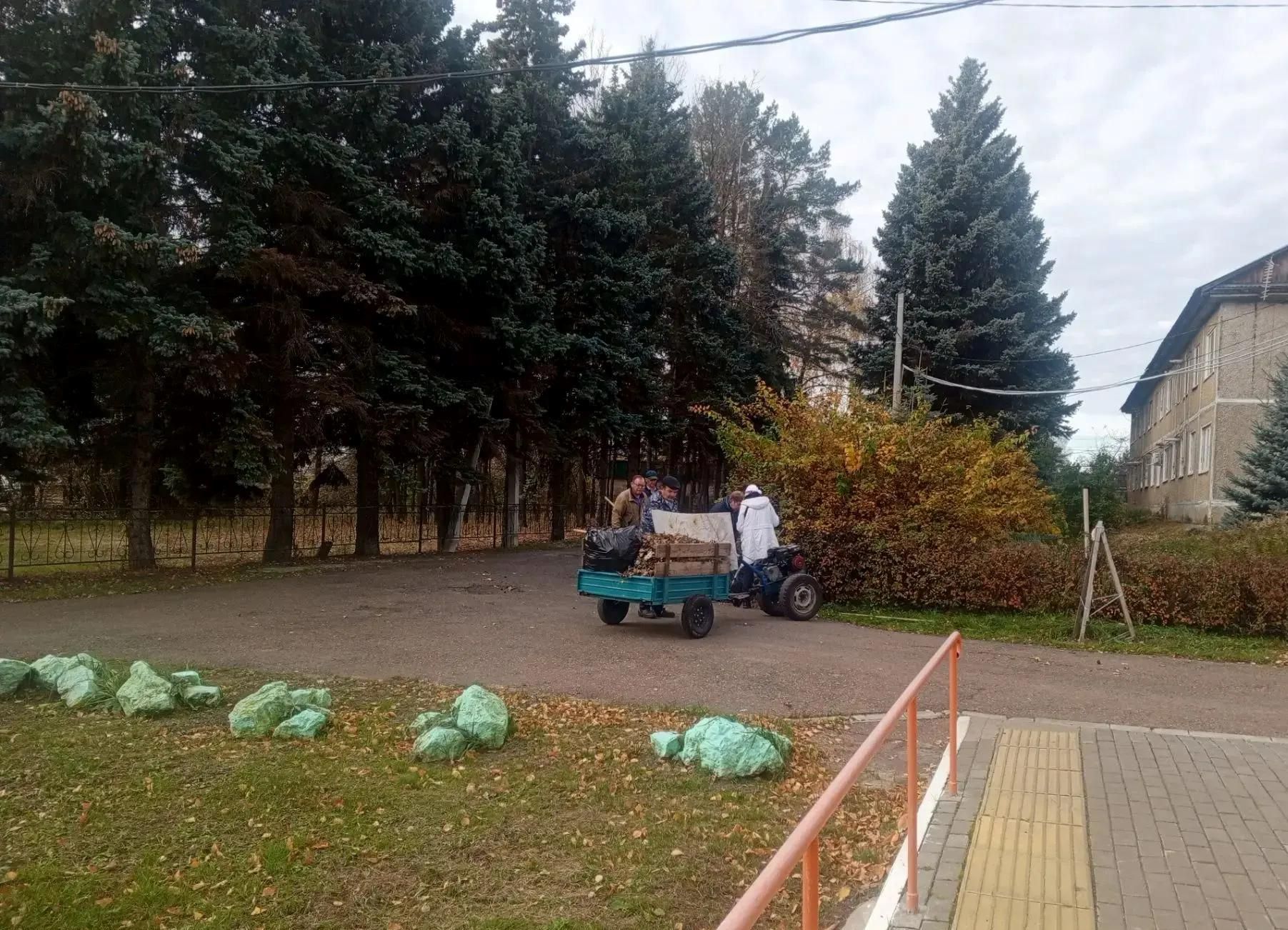 Продолжаем делиться атмосферой городского субботника