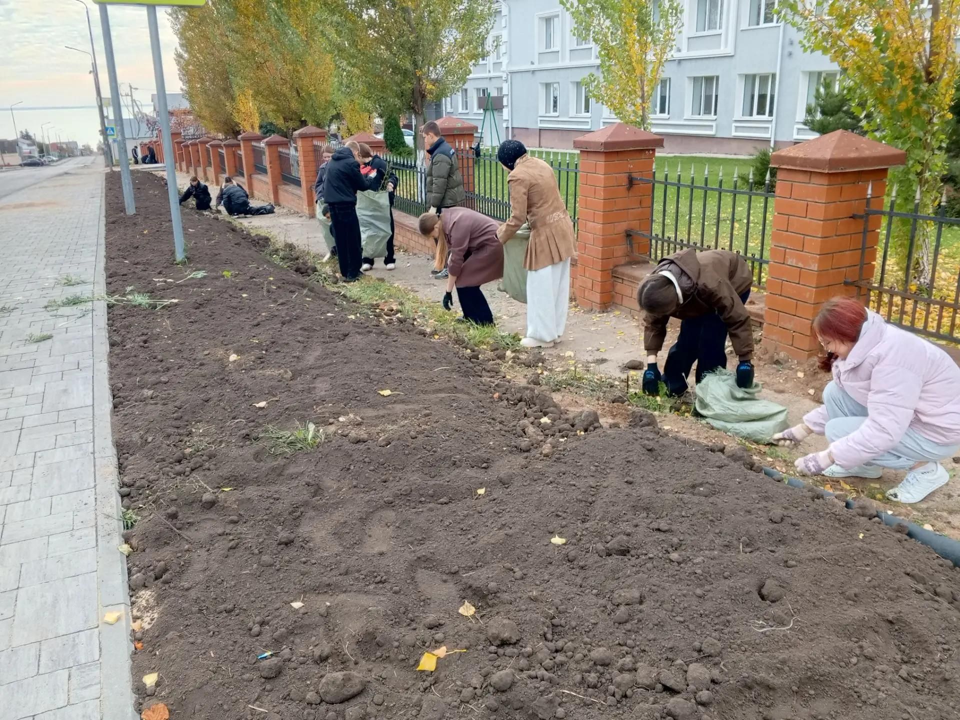 Продолжаем делиться атмосферой городского субботника