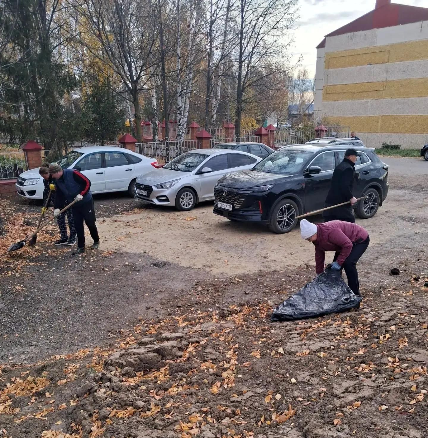 Субботники: традиция из прошлого или реальная польза
