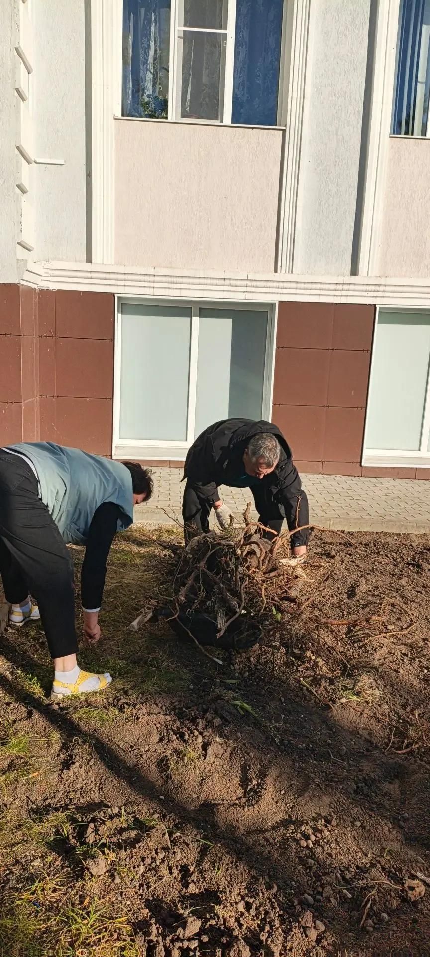 Жители Лаишева вышли на общегородской субботник
