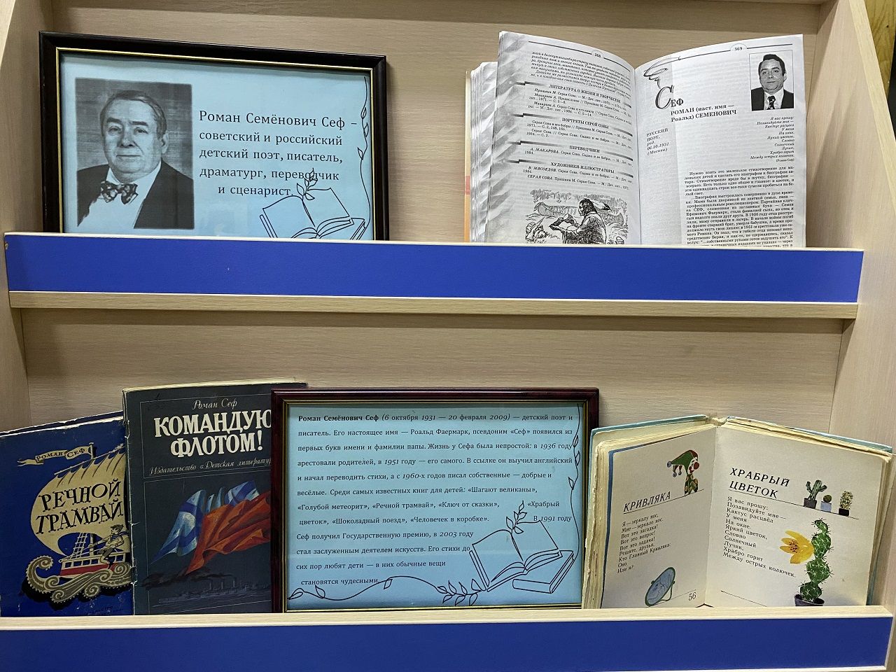 Книжную выставку в Лаишевской библиотеке посвятили юбилею Романа Сефа