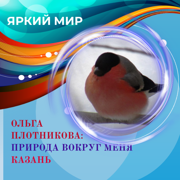 Стильная кормушка от Ольги Плотниковой