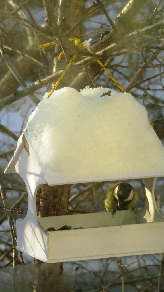 Стильная кормушка от Ольги Плотниковой