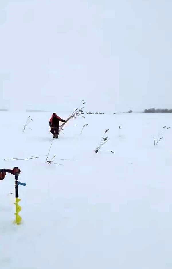 Акция «Рыбе быть» в Лаишевском районе: спасение водных биоресурсов прошло успешно