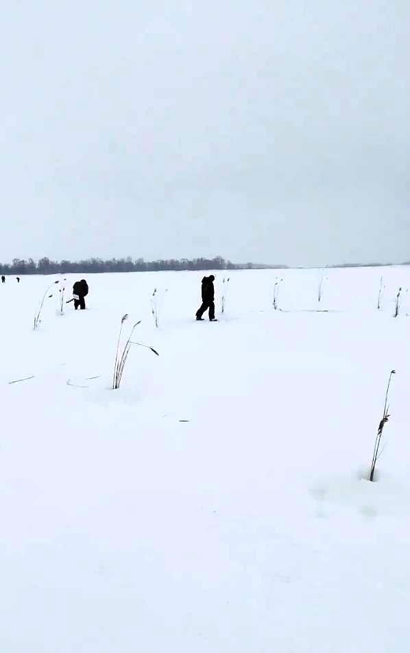 Акция «Рыбе быть» в Лаишевском районе: спасение водных биоресурсов прошло успешно
