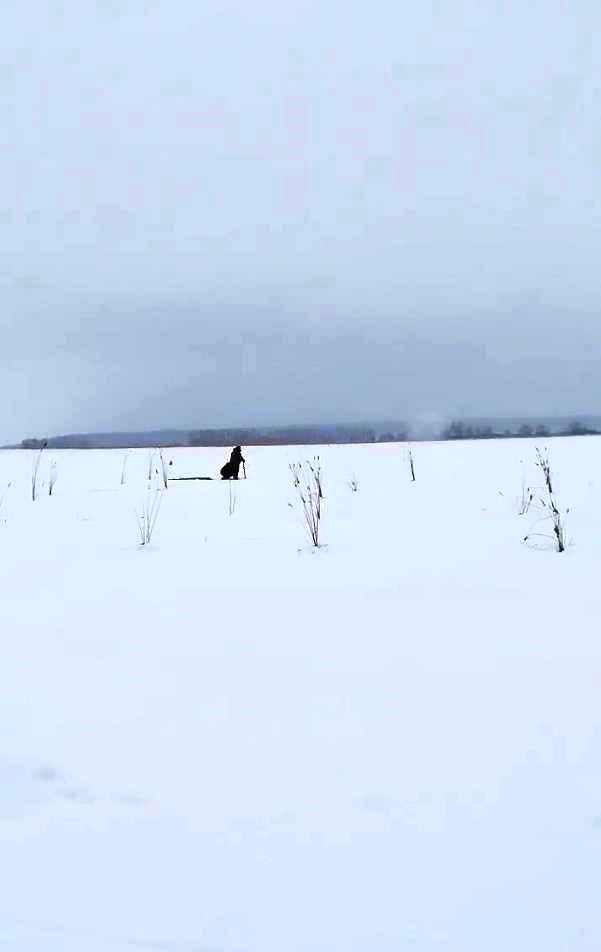 Акция «Рыбе быть» в Лаишевском районе: спасение водных биоресурсов прошло успешно
