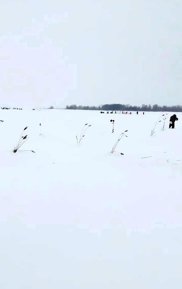 Акция «Рыбе быть» в Лаишевском районе: спасение водных биоресурсов прошло успешно