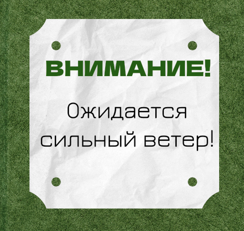 В Татарстане  будет сильный южный ветер