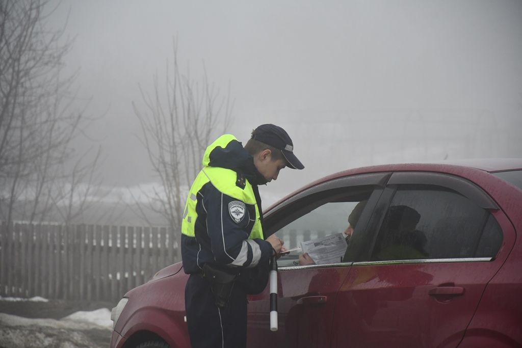 Профилактика ДТП с детьми: вручение памяток малышам и взрослым