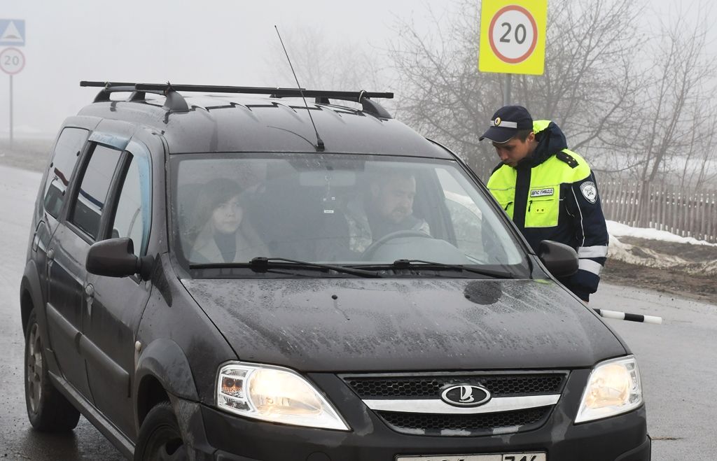 Профилактика ДТП с детьми: вручение памяток малышам и взрослым