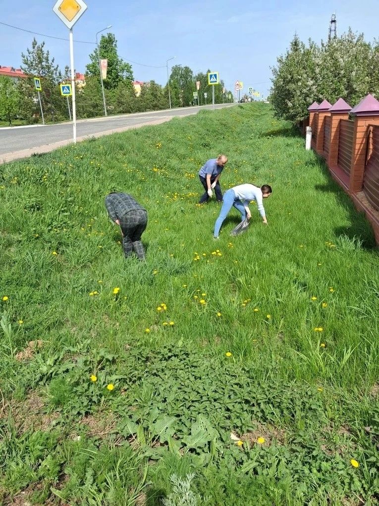 Субботники в детских садах Лаишева