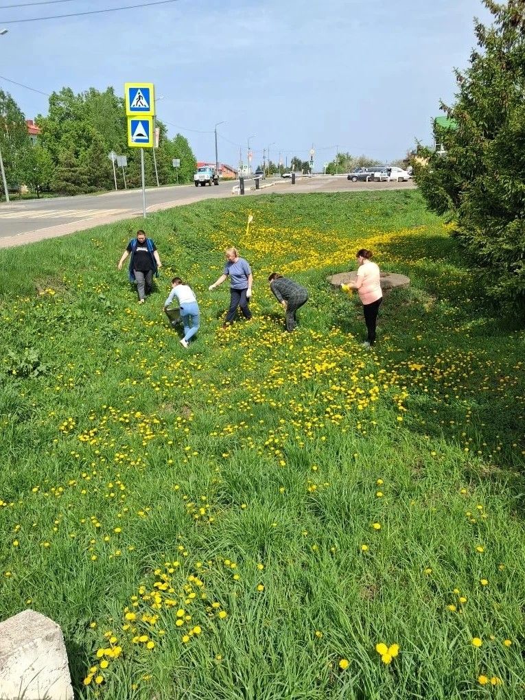 Субботники в детских садах Лаишева