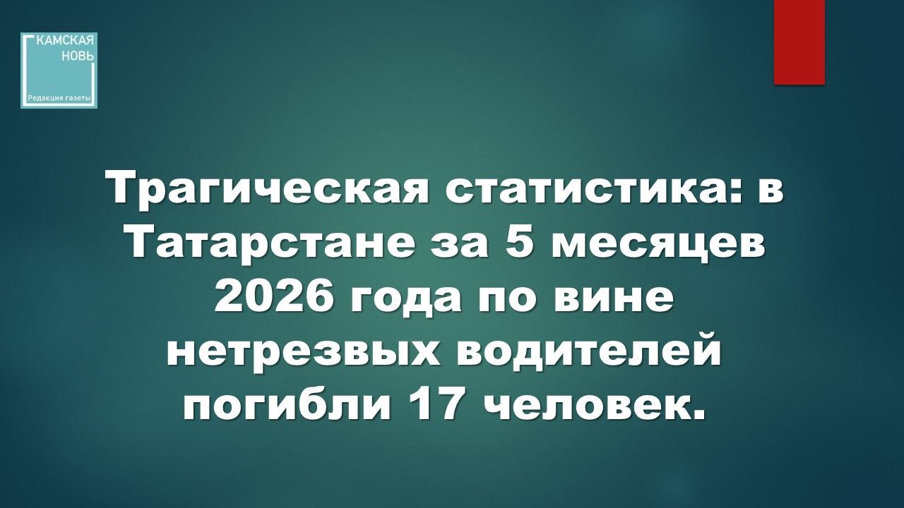 Цена одной рюмки: 17 погибших за 5 месяцев