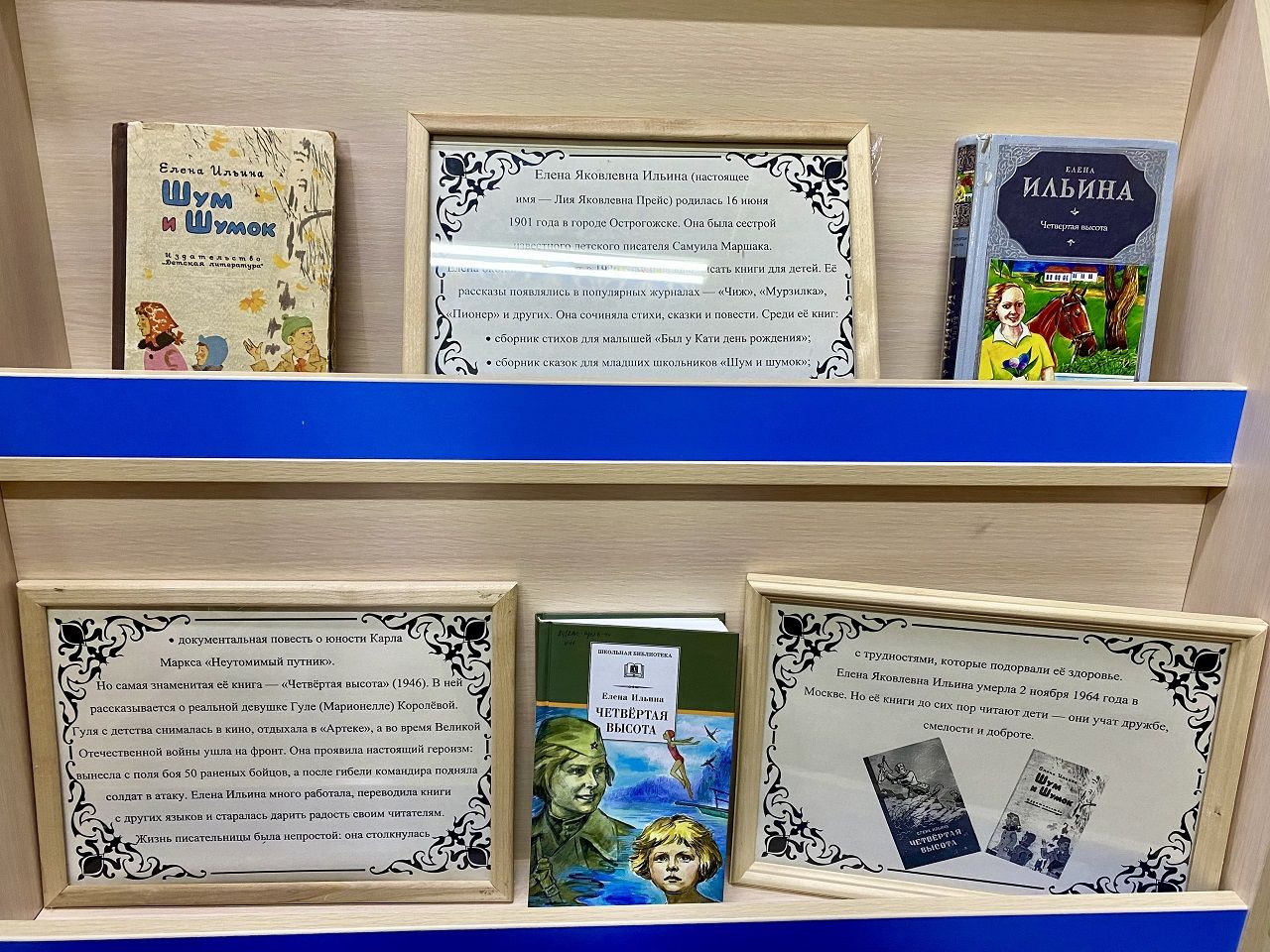 Книжную выставку «Дорога к подвигу» в Лаишевской библиотеке посвятили юбилею Елены Ильиной