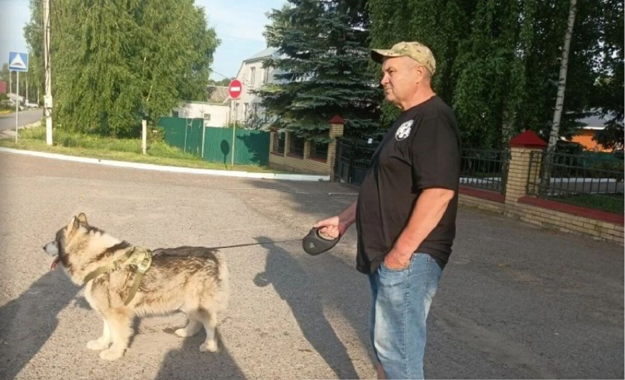 В Лаишевском районе продолжают вакцинировать и чипировать домашних животных