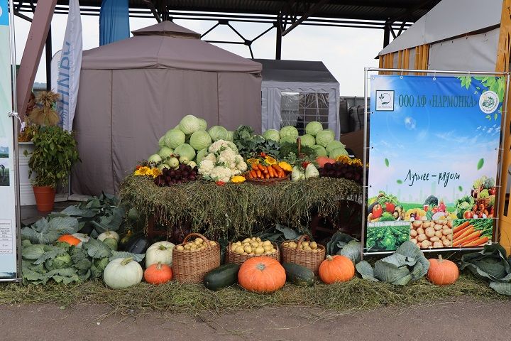 Лаишевский район становится центром притяжения для агробизнеса