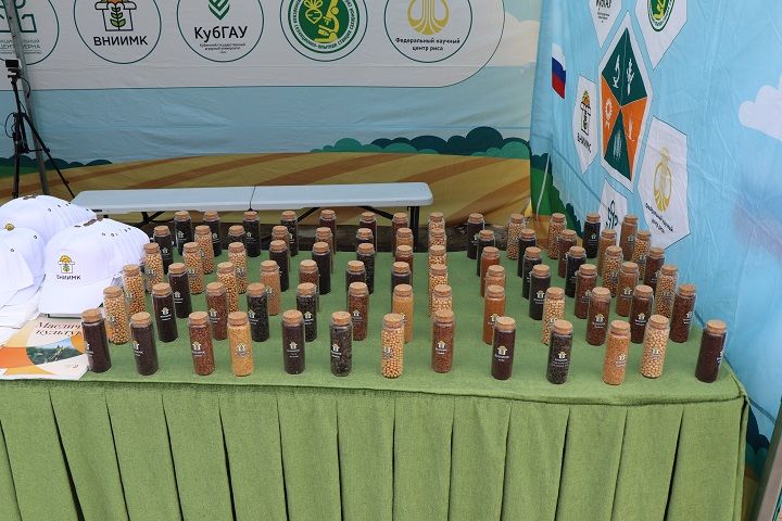 Лаишевский район становится центром притяжения для агробизнеса