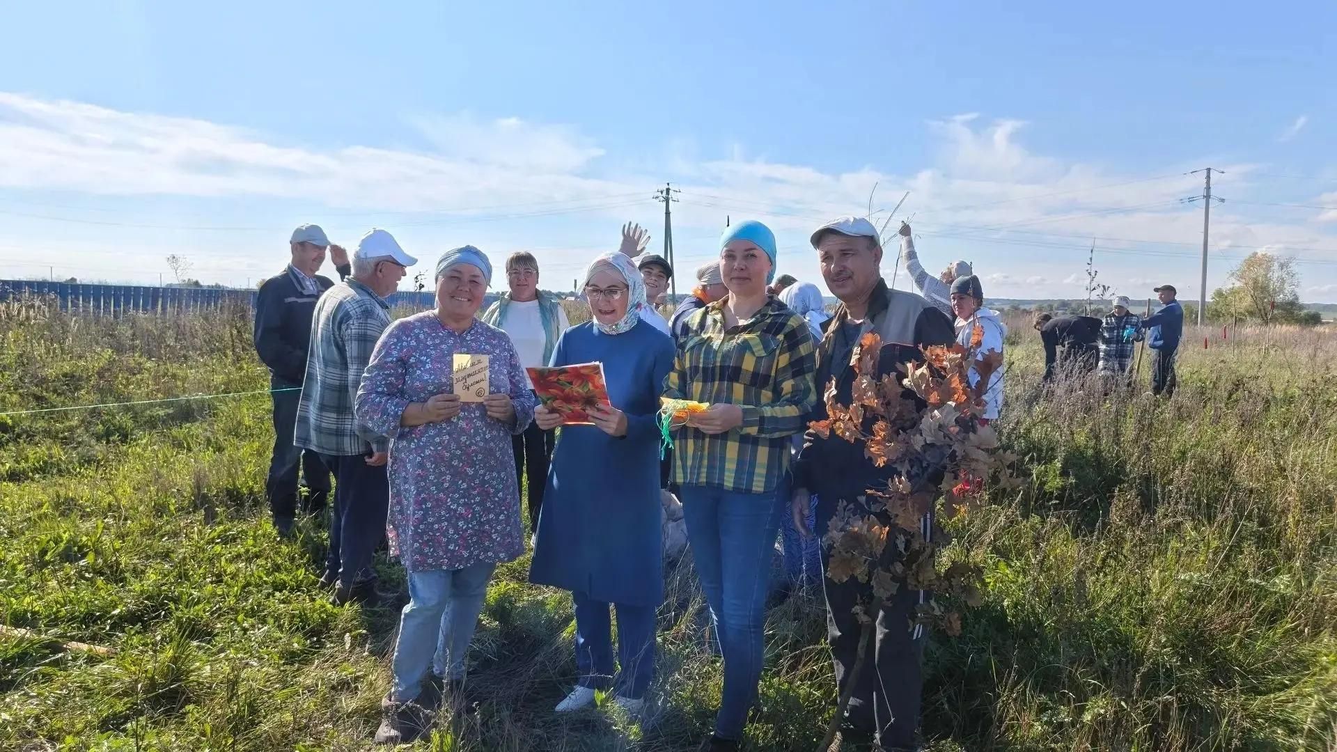Новая зелёная аллея  появилась в селе  Именьково