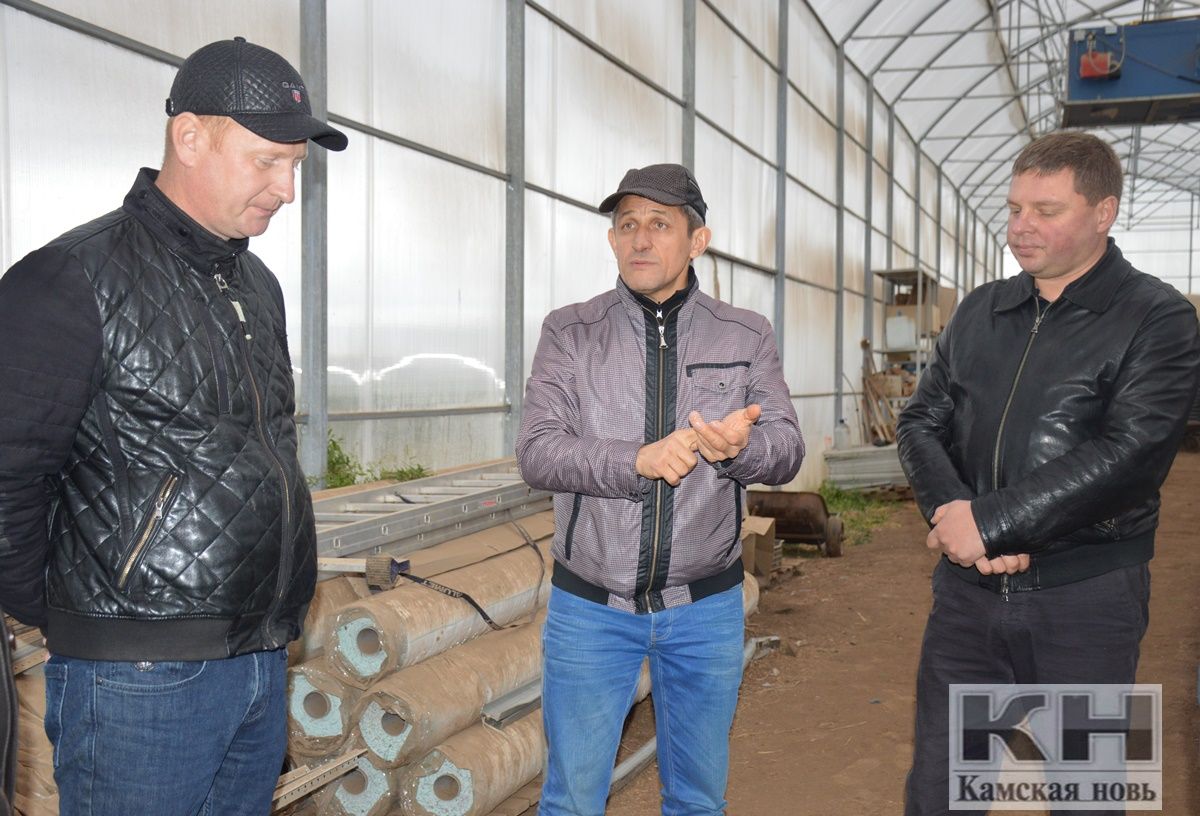Фермеры делятся своими планами с руководителем района Ильдусом Зариповым. 13.10.2019.
