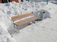 В последний день зимы в Лаишево появились подснежники