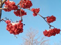 С первым днём зимы!