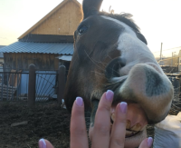 Новой участницей ФОТОконкурса «Забавные питомцы» стала Ксения Герасимова