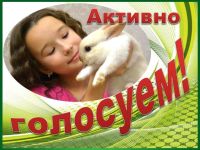 Осталось меньше двух дней до начала финального голосования в конкурсе «Забавные питомцы» — 2025