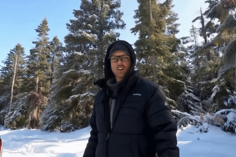 Хвойный беспредел: чем грозит незаконная вырубка елки под Новый год?